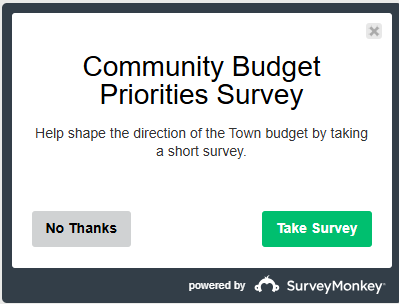 Budget survey graphic