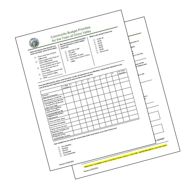 Budget survery Graphic 2